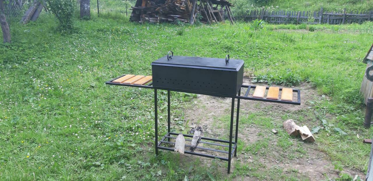 Котедж Під Горою 타타리브 외부 사진